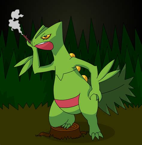 Sceptile With Stigarette By 0parkp On Deviantart