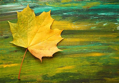 Abstract Painting Background With Autumn Leaves Stock Photos Image