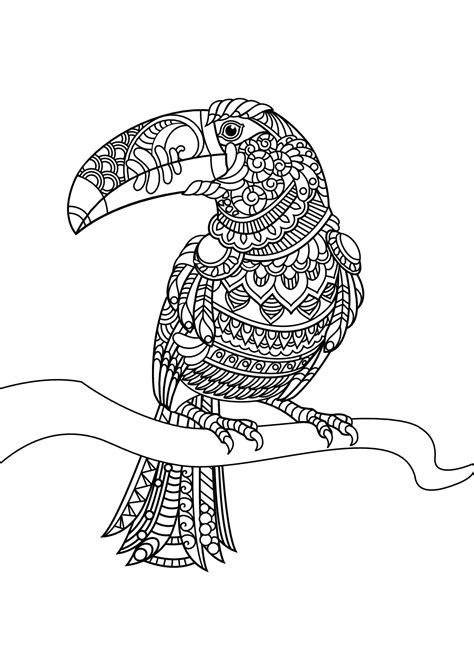 Herons, ducks, chickens and more bird coloring pages and sheets to color. Birds free to color for children - Birds Kids Coloring Pages