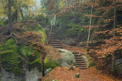 9 Strange Staircases In The Woods Spooky And Random Stairs