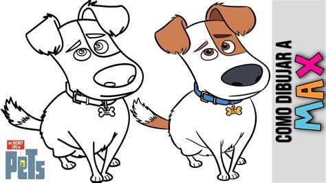 Dibujando A Max De La Vida Secreta De Tus Mascotas 2 🐶 Drawing Max The