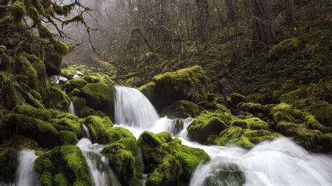 Waterfalls And Rock With Mosses 4k Hd Nature Wallpapers Hd Wallpapers