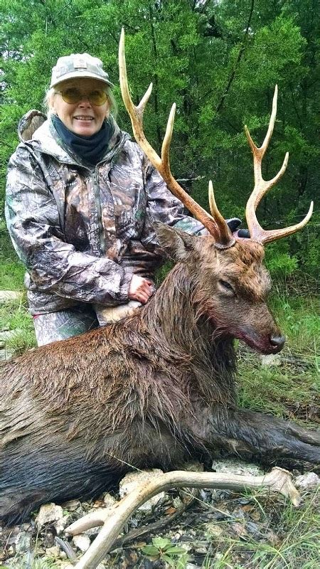 Texas Trophy Sika Deer Hunts