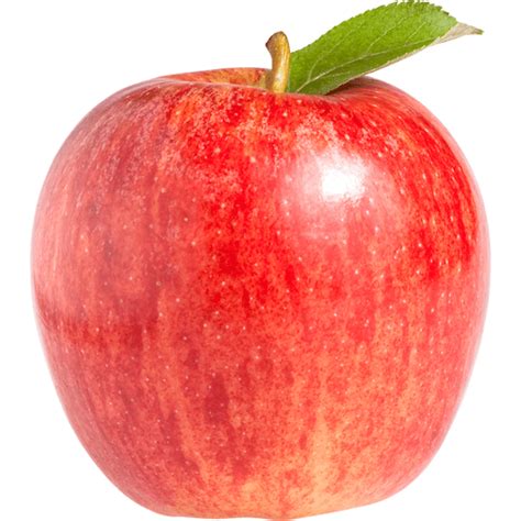 Organic Gala Apples Large Fruit Reasors
