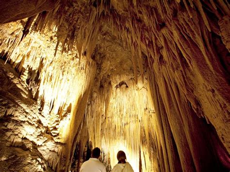 Hastings Caves And Thermal Springs Tasmania Travel Tasmania Nature