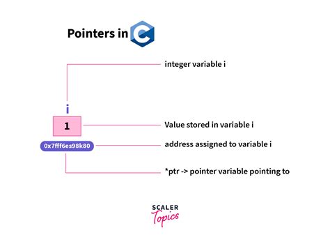 What Is A Pointer In C Scaler Topics
