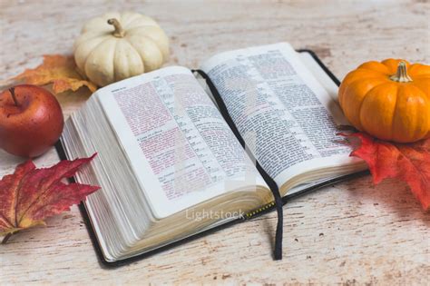 Open Bible With Fall Items — Photo — Lightstock