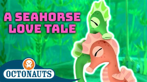 Octonauts A Seahorse Love Tale ️ 60 Mins Valentines Day