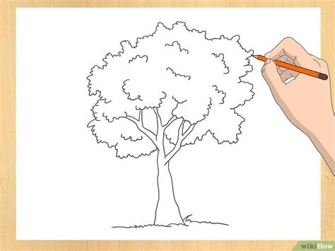3 manières de dessiner un arbre wikiHow