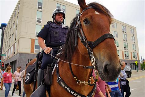 New Home Of Mke Urban Stables To Combine Mounted Police With Equine