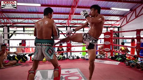 manachai yokkaosaenchaigym training and fights highlights muay thai motivation youtube