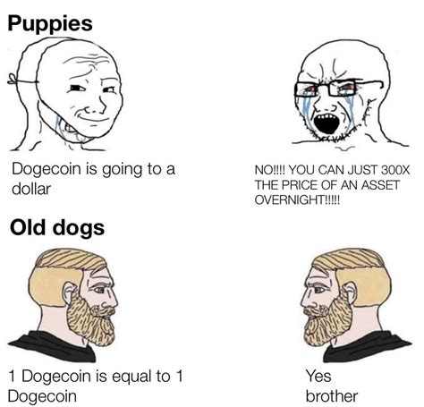 So will dogecoin reach $1? Dogecoin: the top 10 memes of 2020 - The Cryptonomist