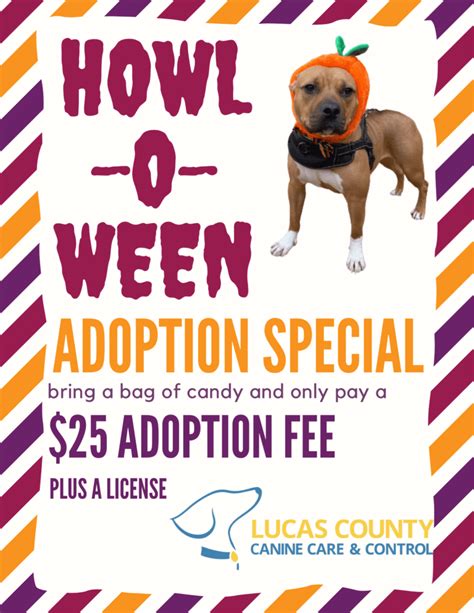 October Is Adopt A Shelter Dog Month Lucas County Canine Care And Control