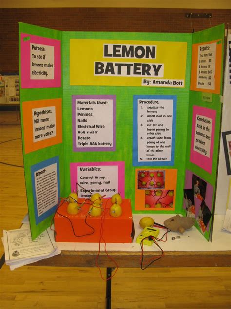 Science Fair Projects For Th Grade Science Struck