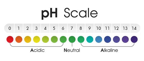 The Chart Shows The Acidic Neutral And Alkaline Ph Of Various Liquids