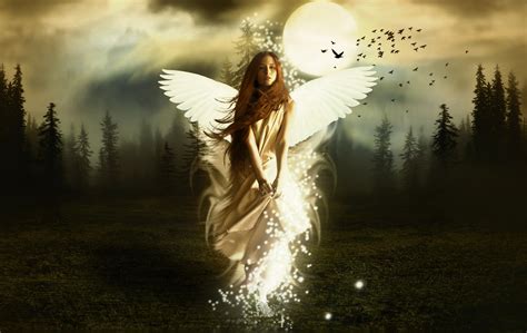 48 Angel Wallpapers And Backgrounds On Wallpapersafari