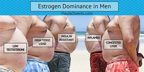How To Reduce Estrogen Dominance Paula Owens