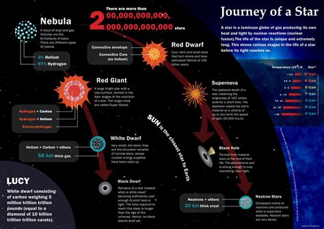 A Simply Illustrated Info Graph On The Different Stages In Life Of A