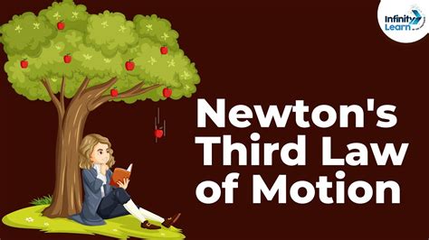 Physics Newtons Third Law Of Motion Youtube