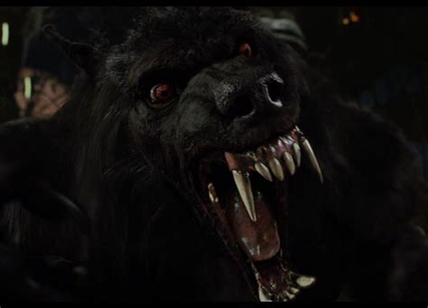 Alpha Werewolf Bloodrayne And Mia The Vampire Slayer Wiki Fandom