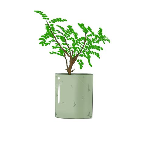 Greenery White Transparent Greenery Green Plant Pot Fresh Png Image