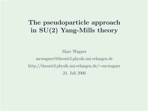 The Pseudoparticle Approach In Su Yang Mills Theory
