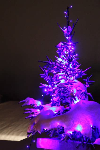 christmas lights decorations  brighten   holiday