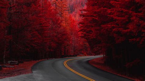 Download Wallpaper 1920x1080 Road Turn Trees Red