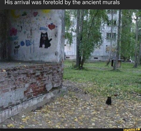 Murals Memes Best Collection Of Funny Murals Pictures On Ifunny
