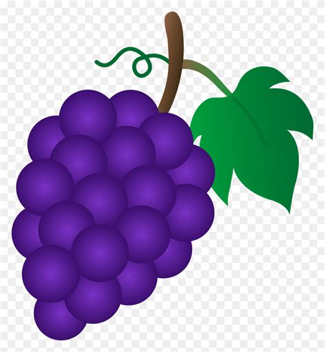 Grape Clipart Healthy Food Raisin Clipart Stunning Free Transparent