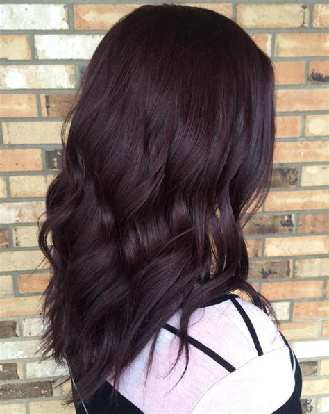 Dark Purple Loose Locks Reddish Brown Hair Color Brown Hair Shades