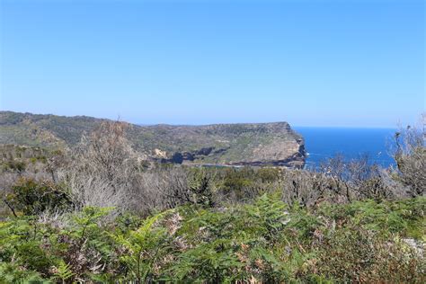 Steamers Beach Walking Track Jervis Bay A Step By Step Guide • Eat