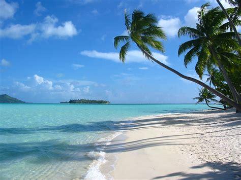 Bora Bora Beach French Polynesia Beaches Pinterest