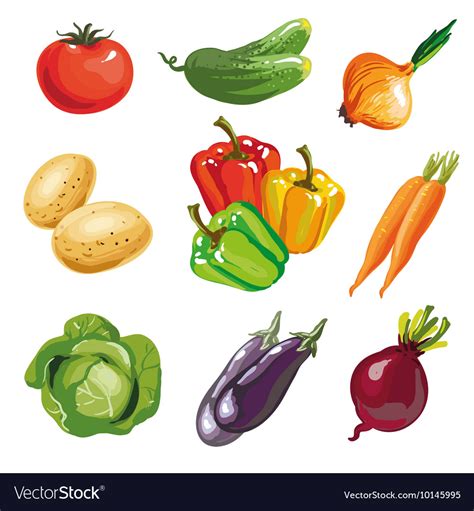 Vegetable Set Cartoon Hand Drawn Collection Vector Image