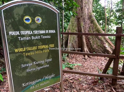 My first time to taman bukit tawau. Tawau Hills Park, Sabah Malaysia Borneo tourist attraction ...