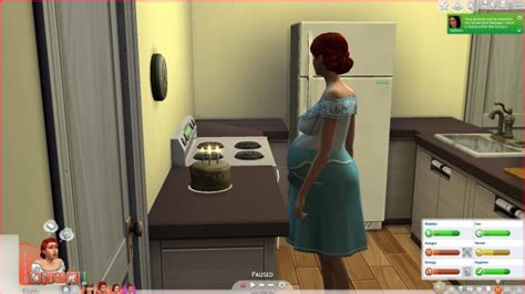 Pregnant Aging And Death By Polarbearsims At Mod The Sims