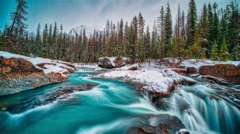 Yoho National Park British Columbia Canada River During Winter 4k 5k Hd