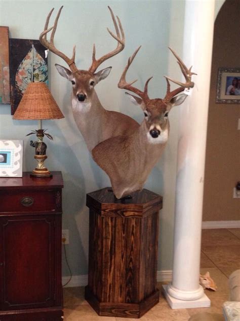 32 Best Deer Pedestal And Wall Mounts Images On Pinterest Taxidermy