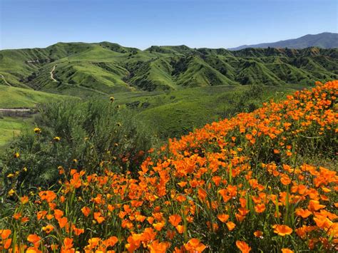 15 Best Things To Do In Chino Hills Ca The Crazy Tourist