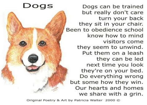 Pin By Sarah Valentine On Animals Dog Poetry Dogs Dog Poems