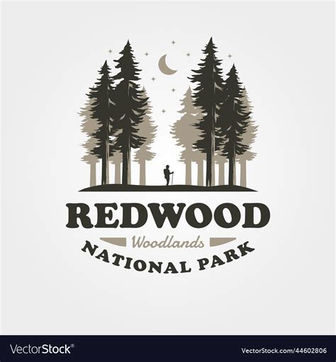 Redwood Vintage Outdoor Logo Design Woodland Vector Image