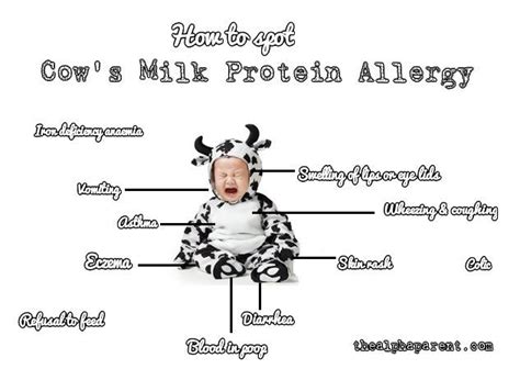 Michelle clark, md and hillary b. Don't Let Those Dangerous Invaders In (Allergies IN BABIES)