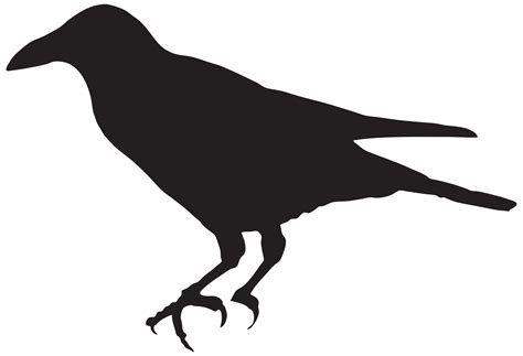 Crow Silhouette Png Clip Art Image Ravens And Crows Pinterest Crow
