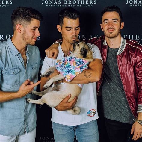 Jonas Brothers Posts On Instagram Thanks Pup Itsdougthepug For These