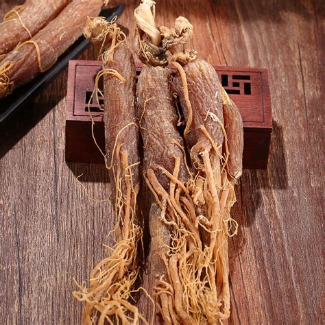 Korean Ginseng Rootred Ginsengcooked Dried Panax Ginseng For Tonic