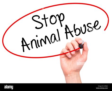 Man Hand Writing Stop Animal Abuse With Black Marker On Visual Screen