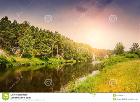 Forest River At Sunset Stock Photo Image Of Nature Riverside 49329060