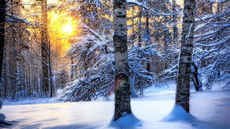 65 Winter Desktop Backgrounds ·① Download Free Stunning