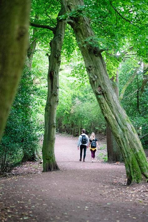 A Detailed Guide To The Epping Forest Oak Trail Walk 2020 Guide