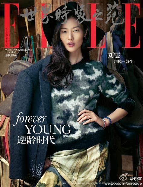 Asian Models Blog Magazine Cover Liu Wen On Elle China December 2013